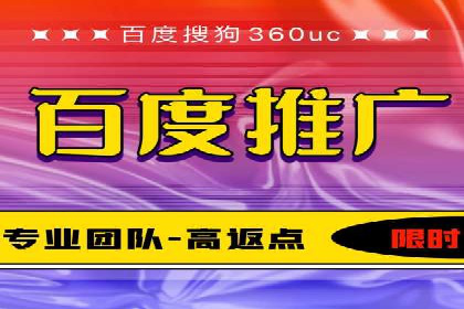 某品牌通过百度广告实现快速增长的案例